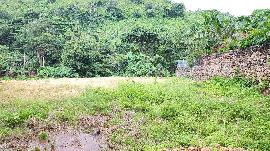 land low price to sale